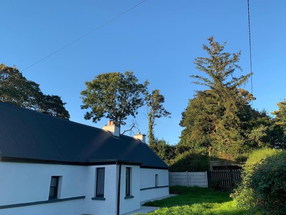 Rose Cottage Killarney Buitenkant foto